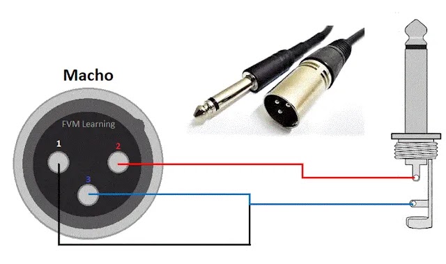 XLR male → 1/4" TS